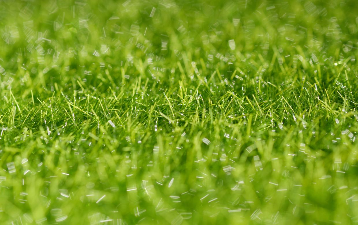 Gazon synthétique